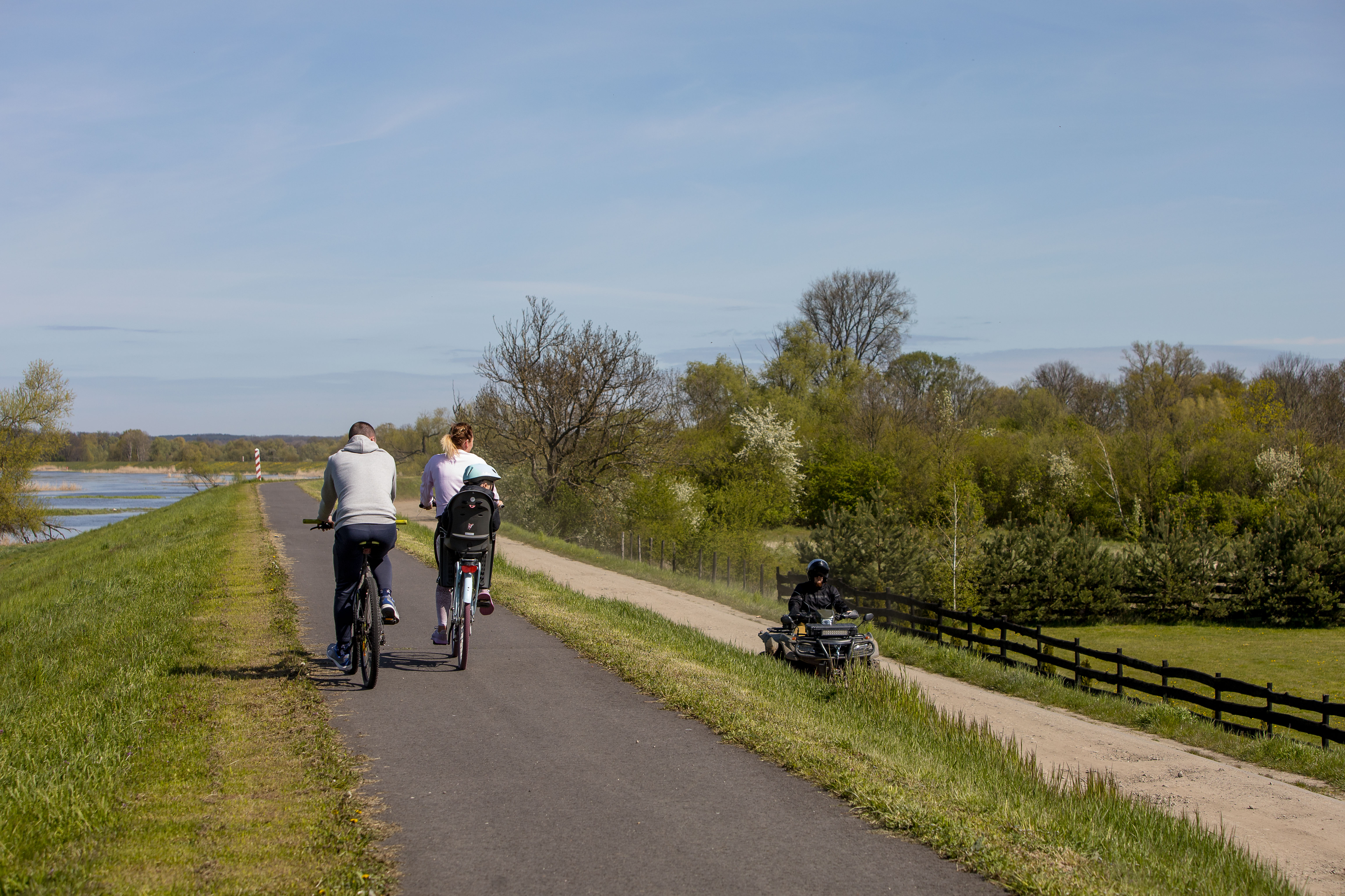 Die Radfahrer an dem Radweg am Ufer des Flusses. Eine Familie fährt  mit Kind im Kindersitz.