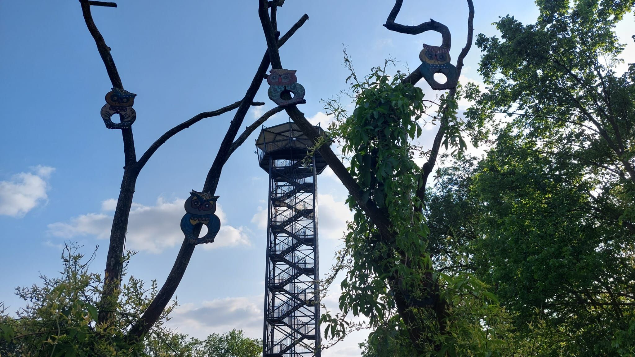 Geführte Fahrradtour "Urad-Aurith mit Aussichtsturm" entfällt
