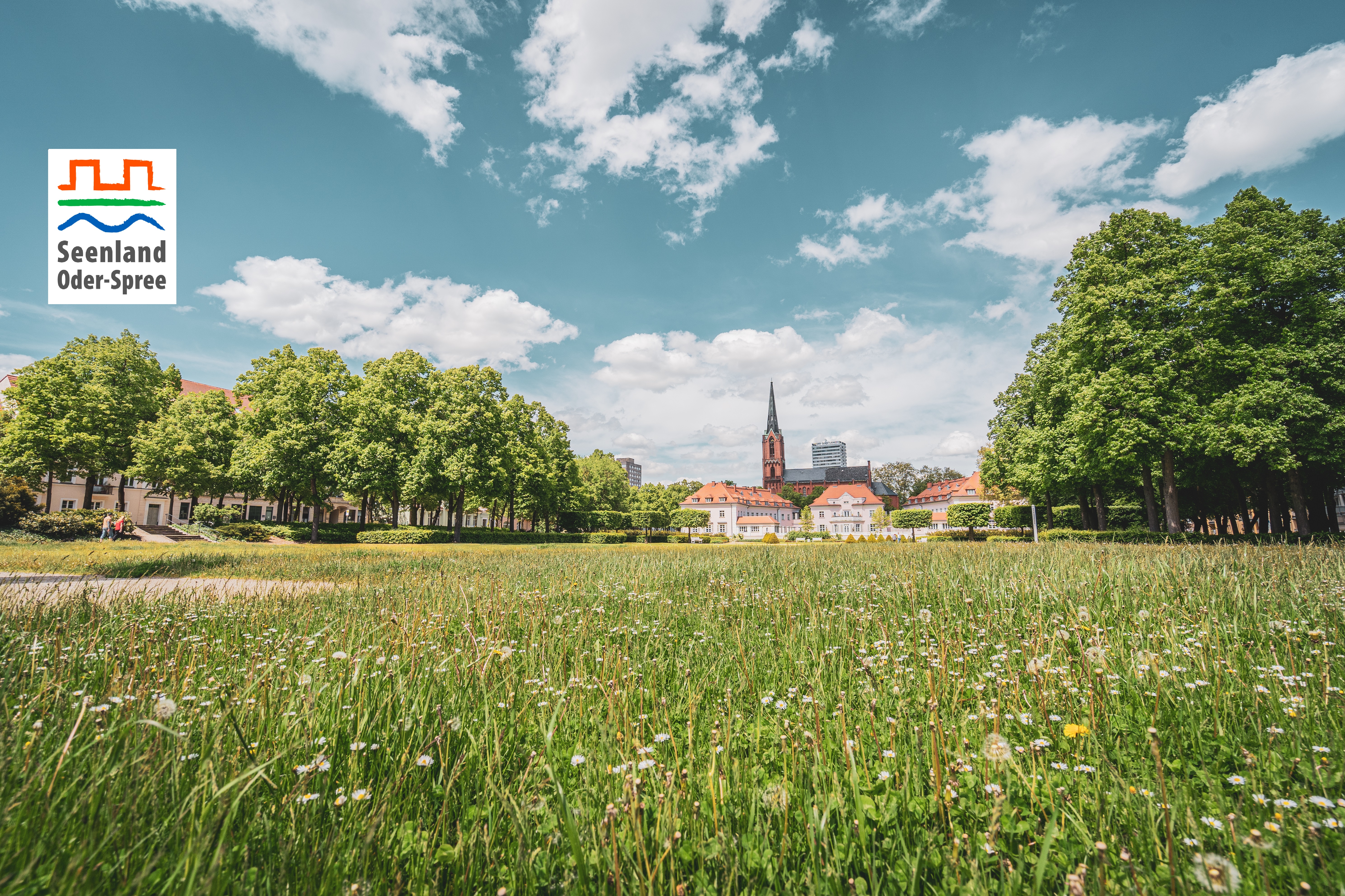Eine grosse Wiese mit dem Hintergund Kirche und Oderturm zu sehen