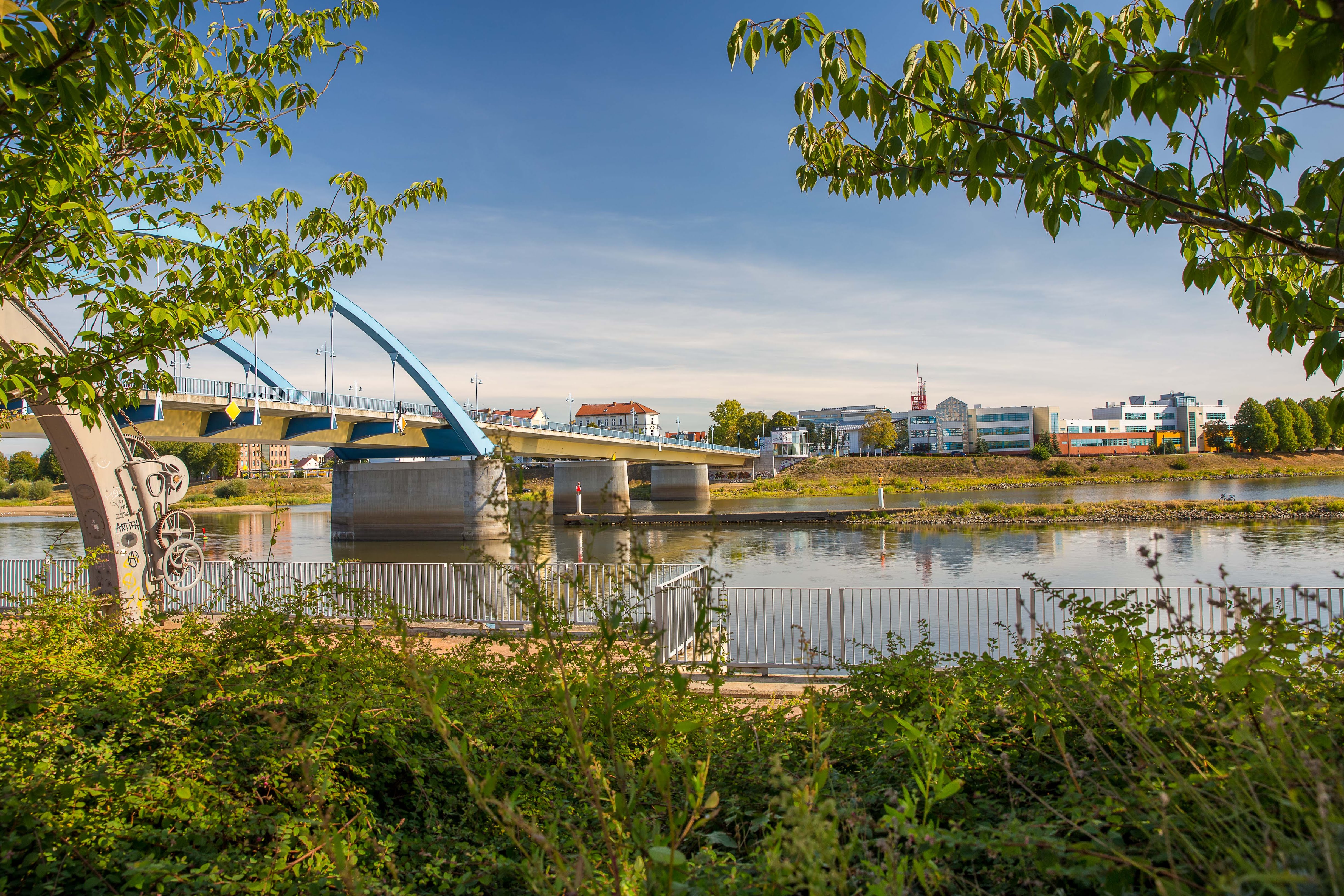 Ein Panoramafoto: Stadtbrücke und Ufer an der polnischen Seite in Slubice ist zu sehen. Es ist Sommertag, die Natur blüht.