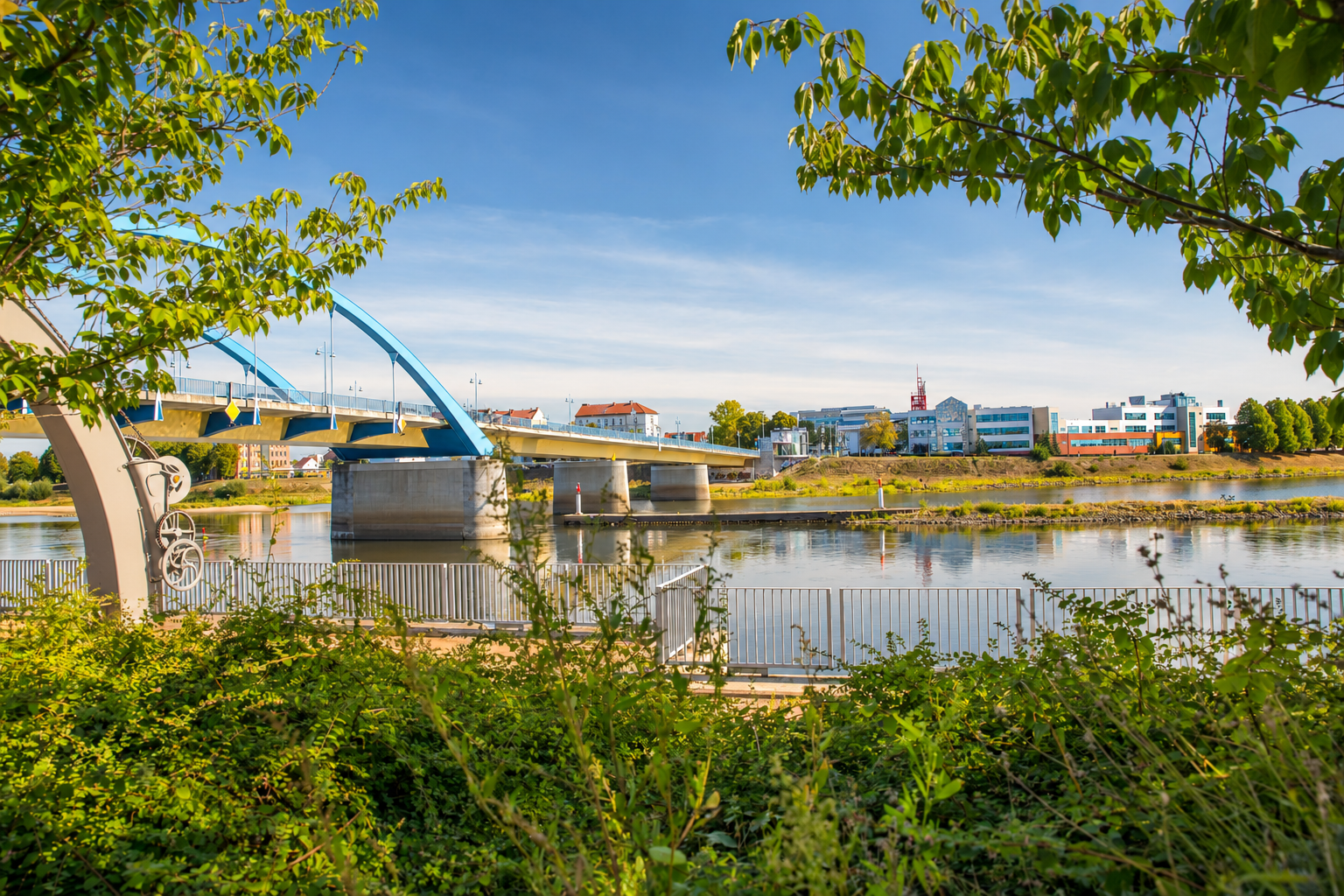 Ein Panoramafoto: Stadtbrücke und Ufer an der polnischen Seite in Slubice ist zu sehen. Es ist Sommertag, die Natur blüht.