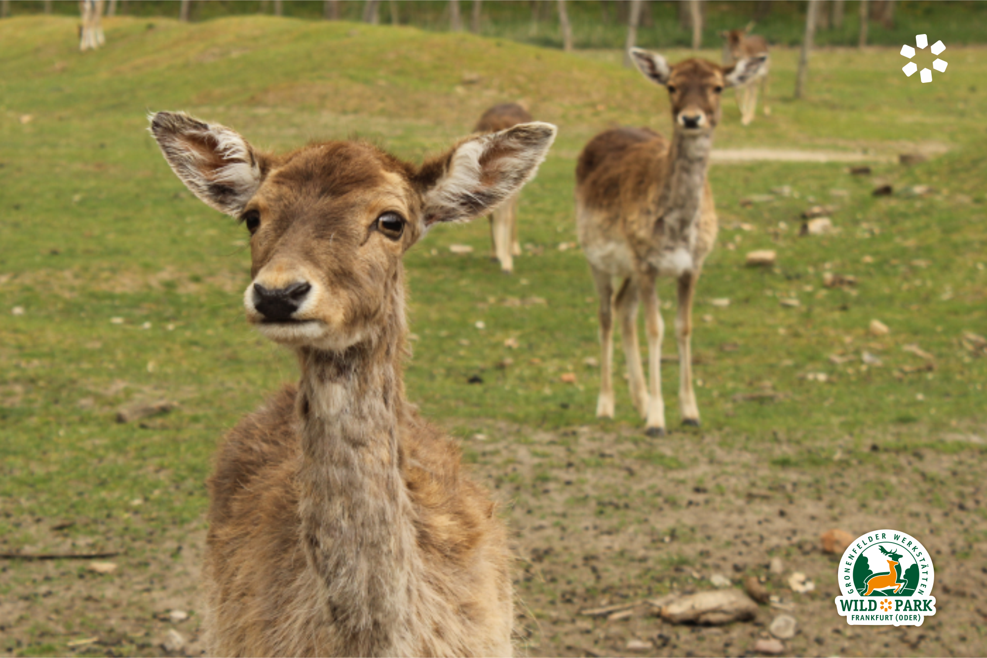 City nature park, Foto: Wichern Diakonie
